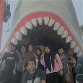 Đánh