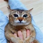 Thầ