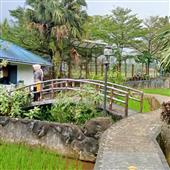 khỉ