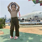 Giả