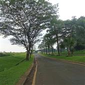 Bảng