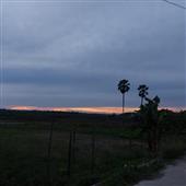 Ger