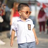 Cung