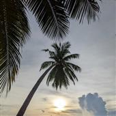 Thầ