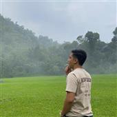 Gamb