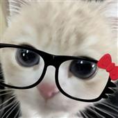 Sức