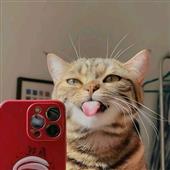 Các