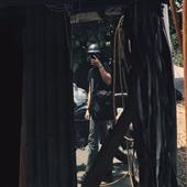 Bầu 