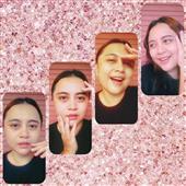 Cung
