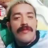 Giả