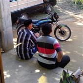Bầy 
