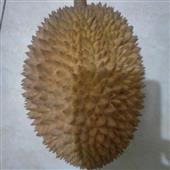 Giải