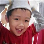 Luật