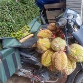 Ngọn