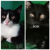 BIẾN