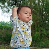 Giải