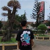 Voi