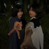 Bảng