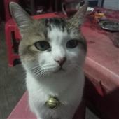 Hợp 