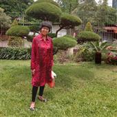 Khỉ 