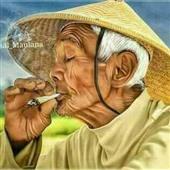 Apol