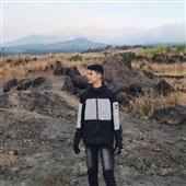 Cung