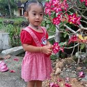 Truy
