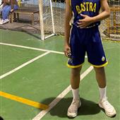 Cung