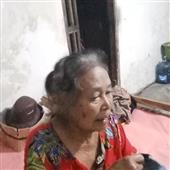 VR 