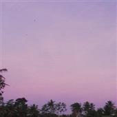Nổi