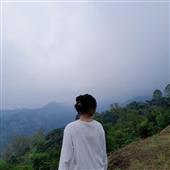 Quyể