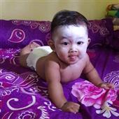 Bản