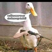Bóng