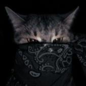 ĐÈN 