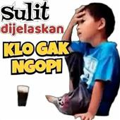 HỔ T