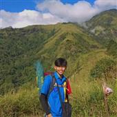 Quy