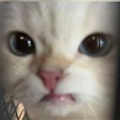 Cướ