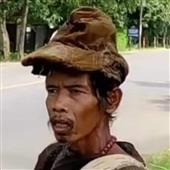 Giả