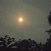 Kết 