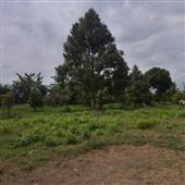 Kết