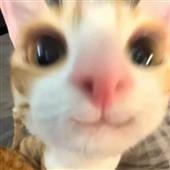 Du l