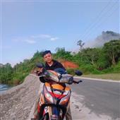 Trực