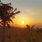 Sự 