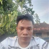 Gấu 