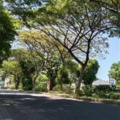 Thắ