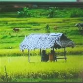 Đại