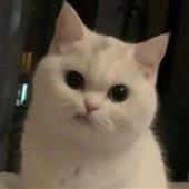 Các
