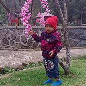 VỪN