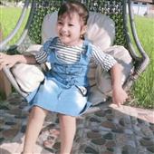 Luật