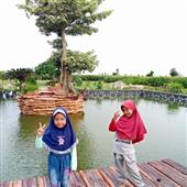 Đấu 